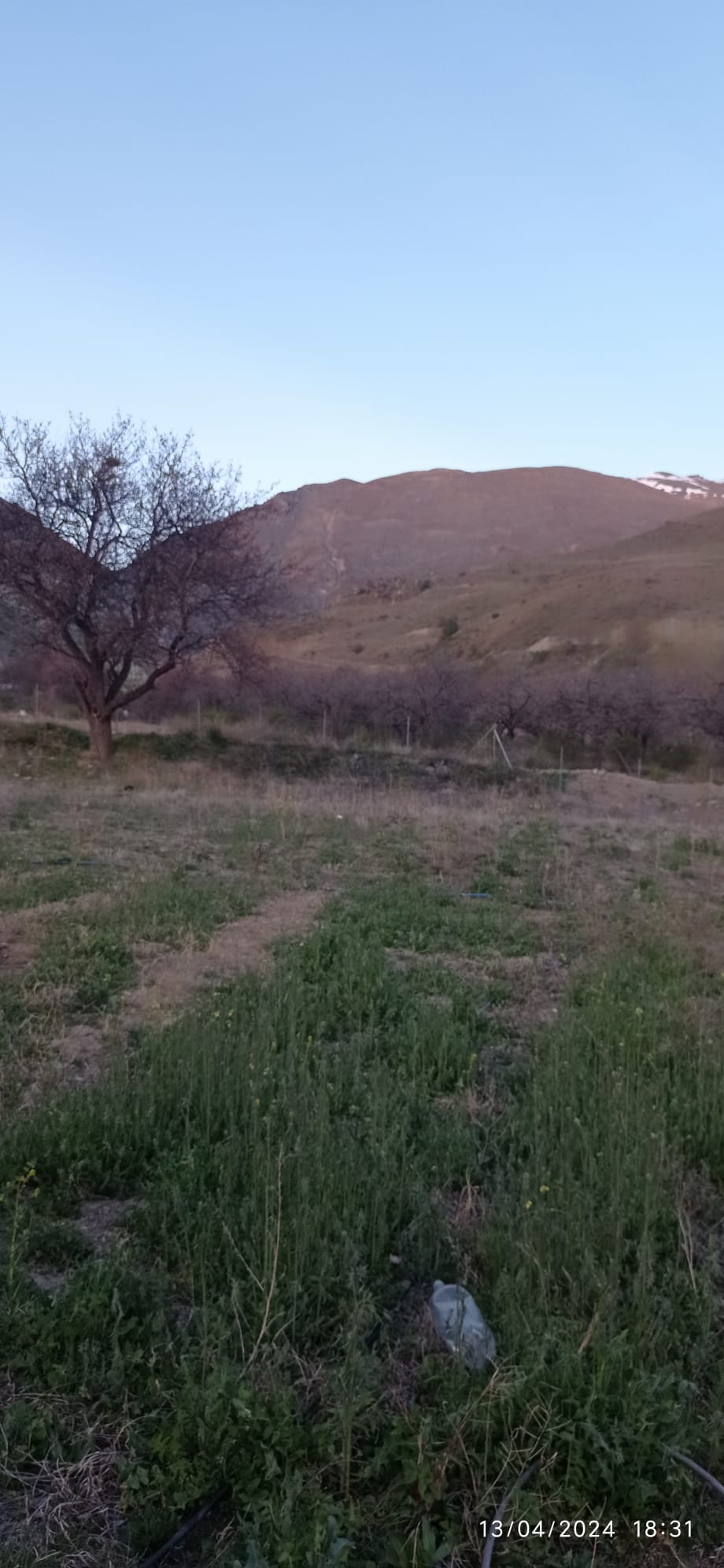 MABEL'DEN ÜZÜMLÜ/BAYIRBAĞ'DA SATILIK 3,843 M2 BAHÇE VE DOĞA EVİ